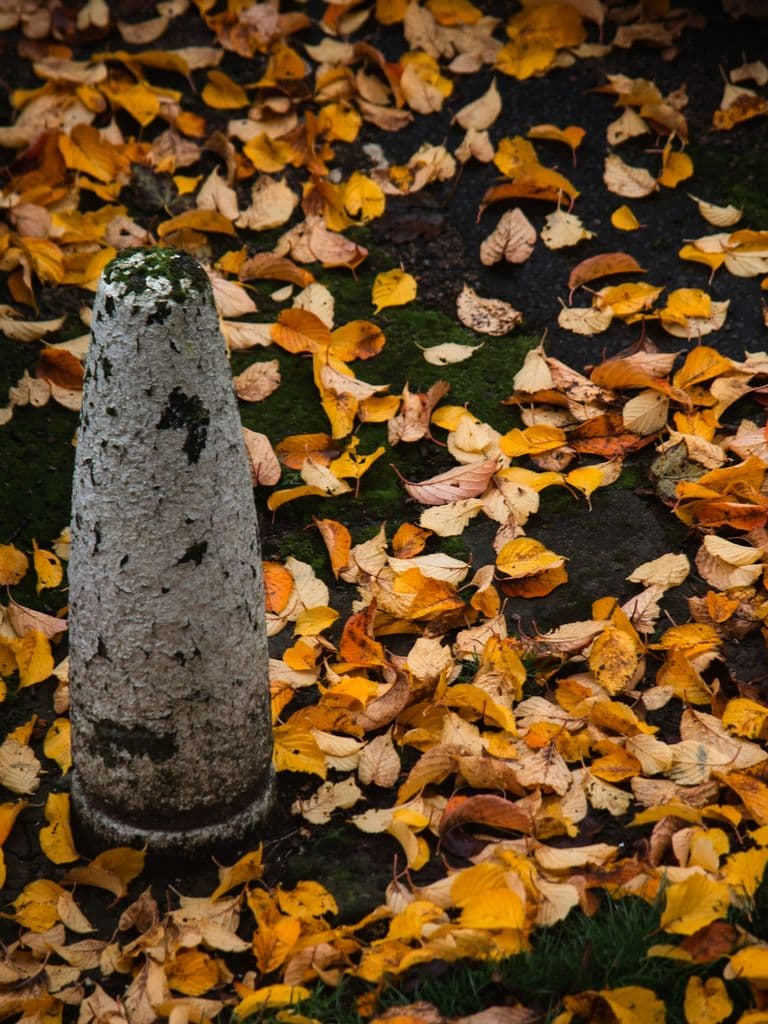 fall